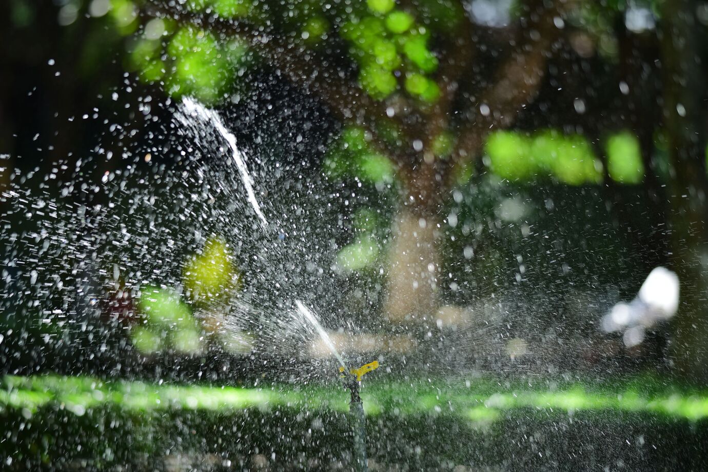 Water-saving garden automation